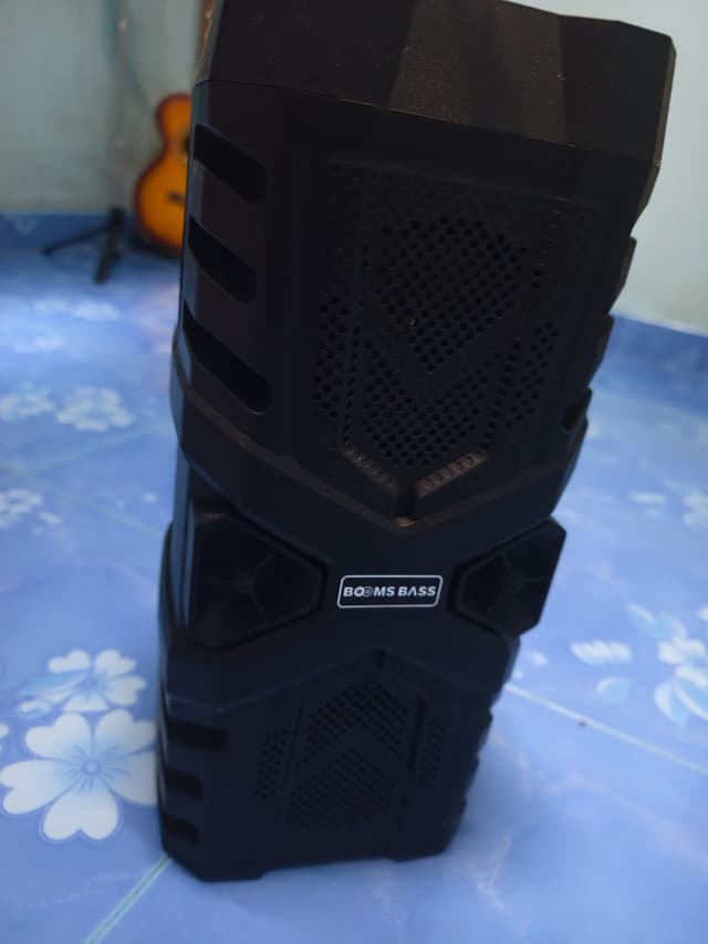 Speaker