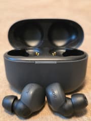 Sony LinkBuds S WF-LS900N Wireless Earbuds - image blurred placeholder