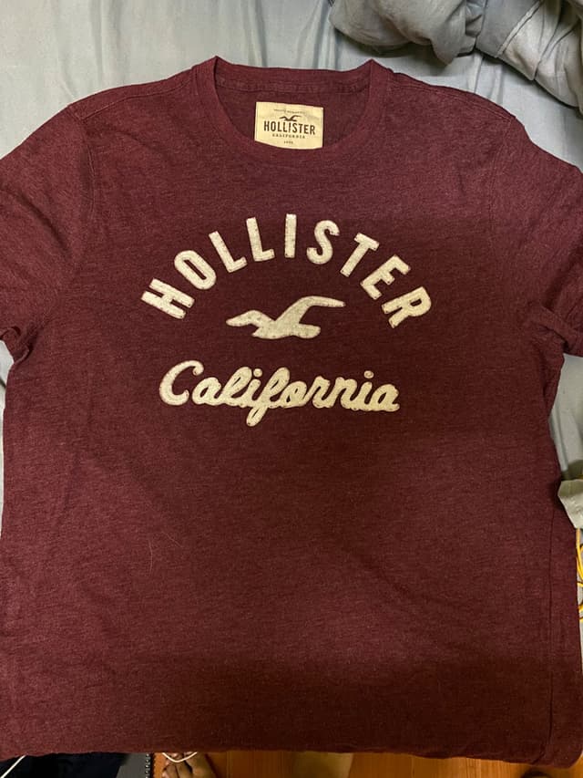 Hollister T-Shirt