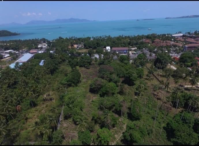 Beautiful land plot, Koh Samui, 17 rai