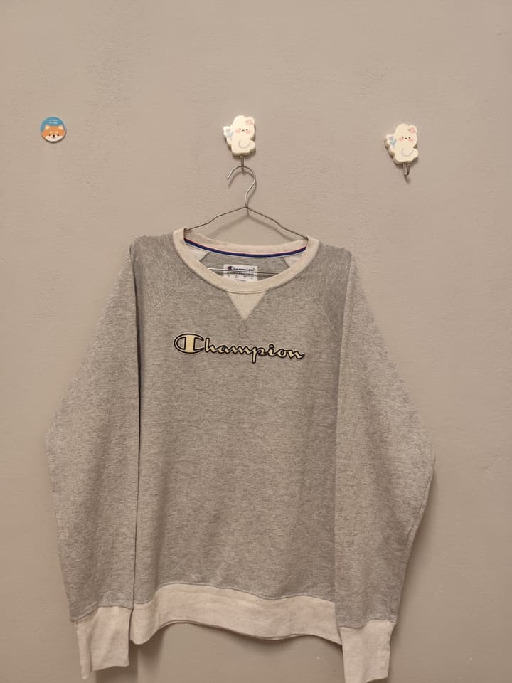 Champion Women's Long-Sleeve Sweatshirt, Size L, Raglan Graphic, White/Gray/Beige