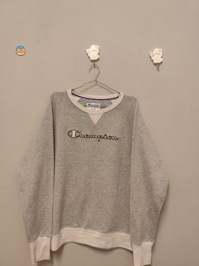 Champion Women's Long-Sleeve Sweatshirt, Size L, Raglan Graphic, White/Gray/Beige