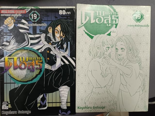Манга «Истребитель демонов: Kimetsu no Yaiba», том 19, 2 книги