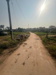 รูปภาพ 2