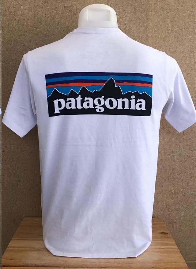 Оригинальная футболка Patagonia (бывшая в употреблении)
