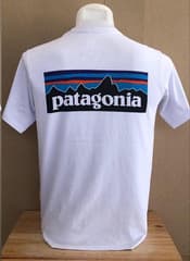 Оригинальная футболка Patagonia (бывшая в употреблении) - image blurred placeholder