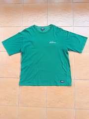 Оригинальная зелёная футболка Dickies - image blurred placeholder